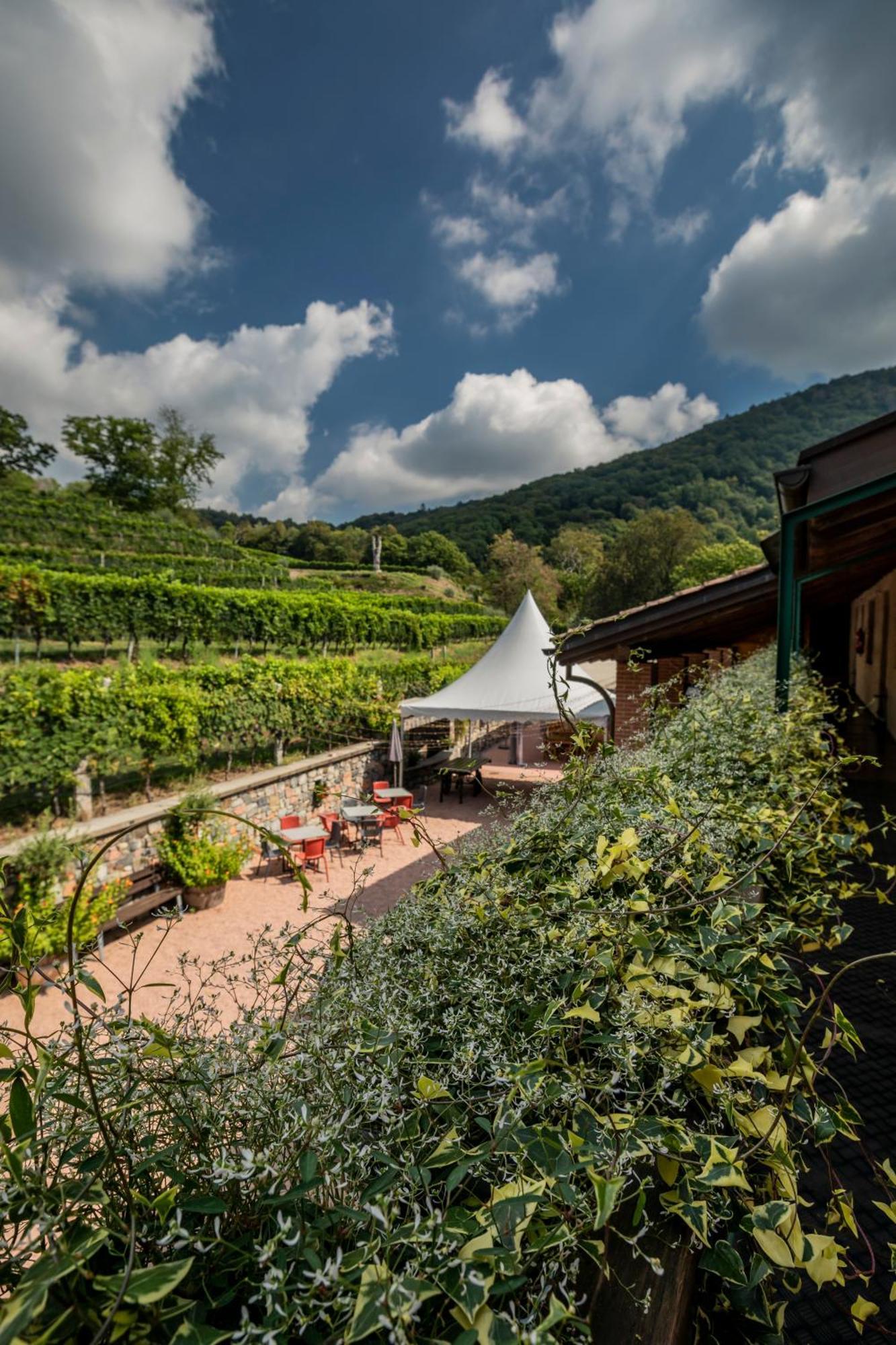 Castelrotto Wine & Art Relais Vallombrosa מראה חיצוני תמונה