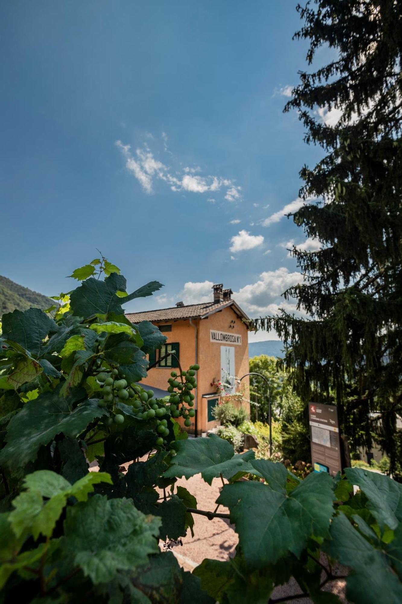 Castelrotto Wine & Art Relais Vallombrosa מראה חיצוני תמונה